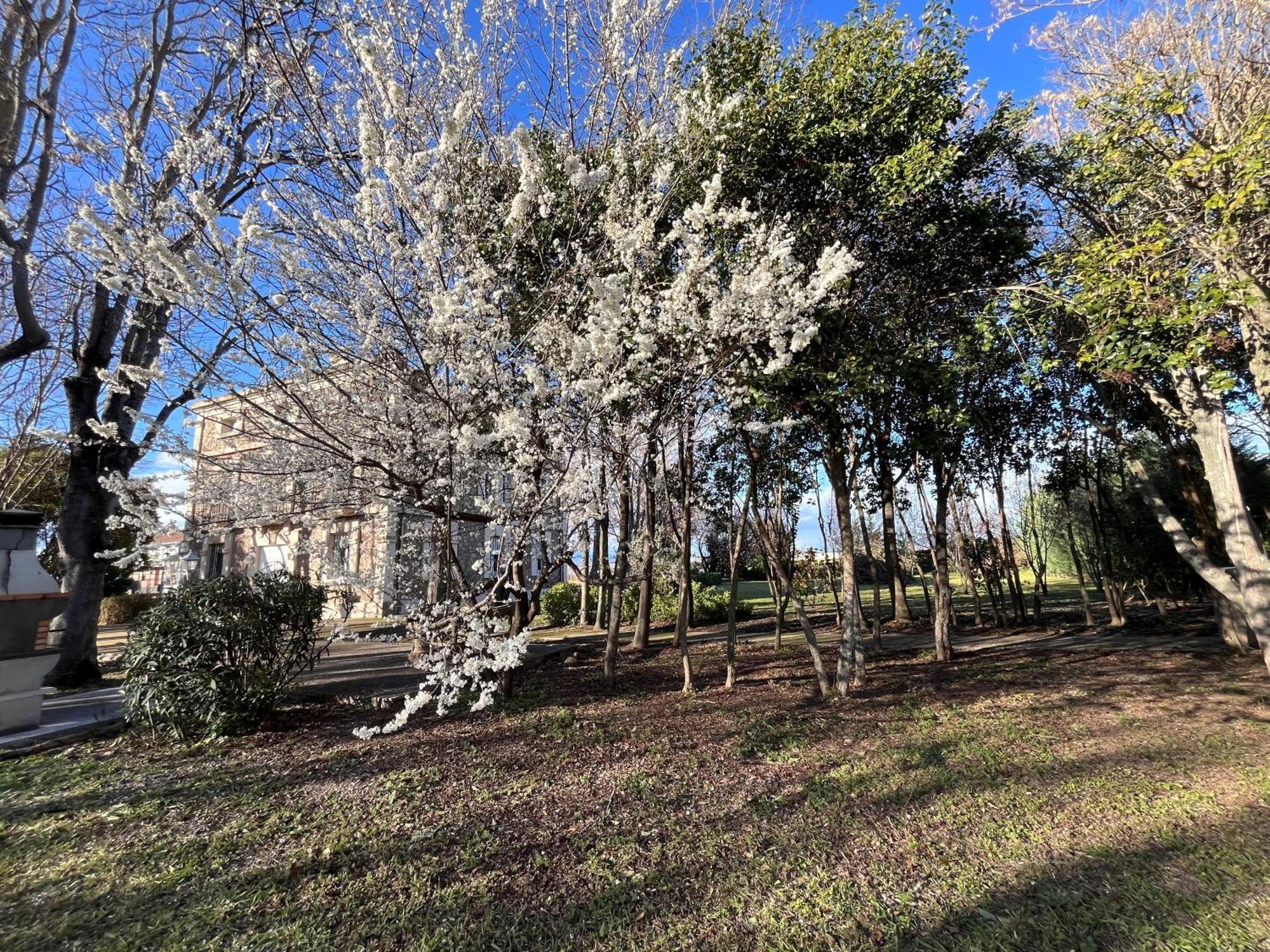 Villa Merenciana Agoncillo Exteriör bild